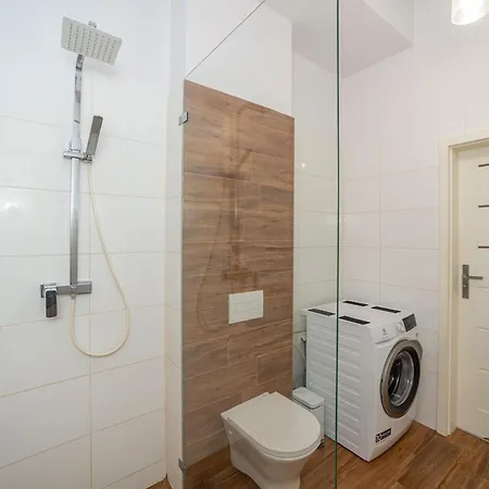 Host Lofty Tymienieckiego *