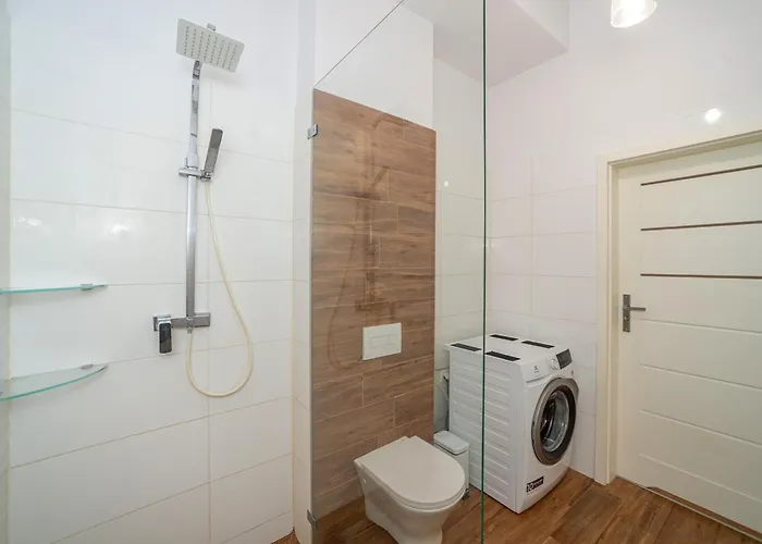 Host Lofty Tymienieckiego *